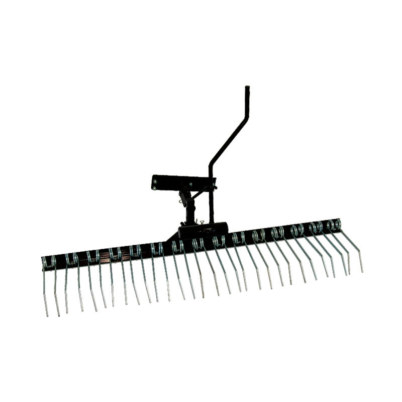 Descărcător de dinti SP31203